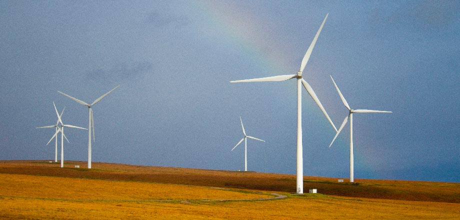 Invertí con propósito: oportunidades financieras sustentables